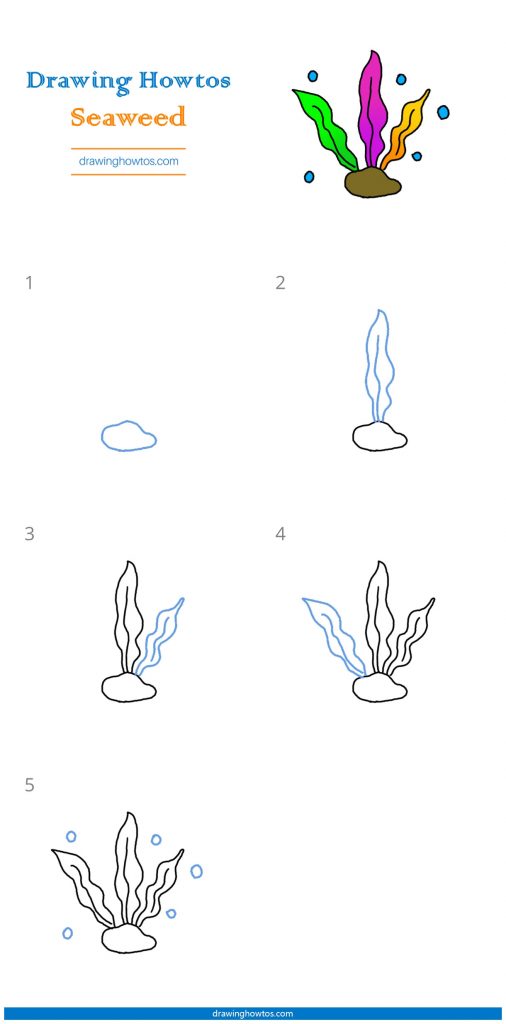 How to Draw a Seaweed - Step by Step Easy Drawing Guides - Drawing Howtos
