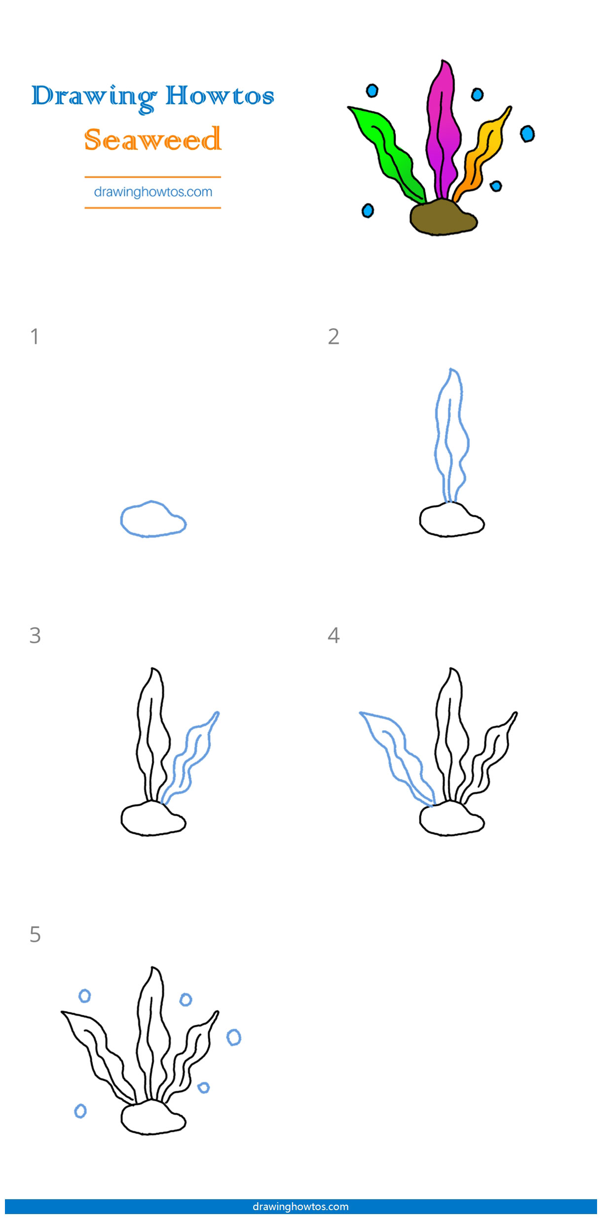 How to Draw Seaweed Step by Step