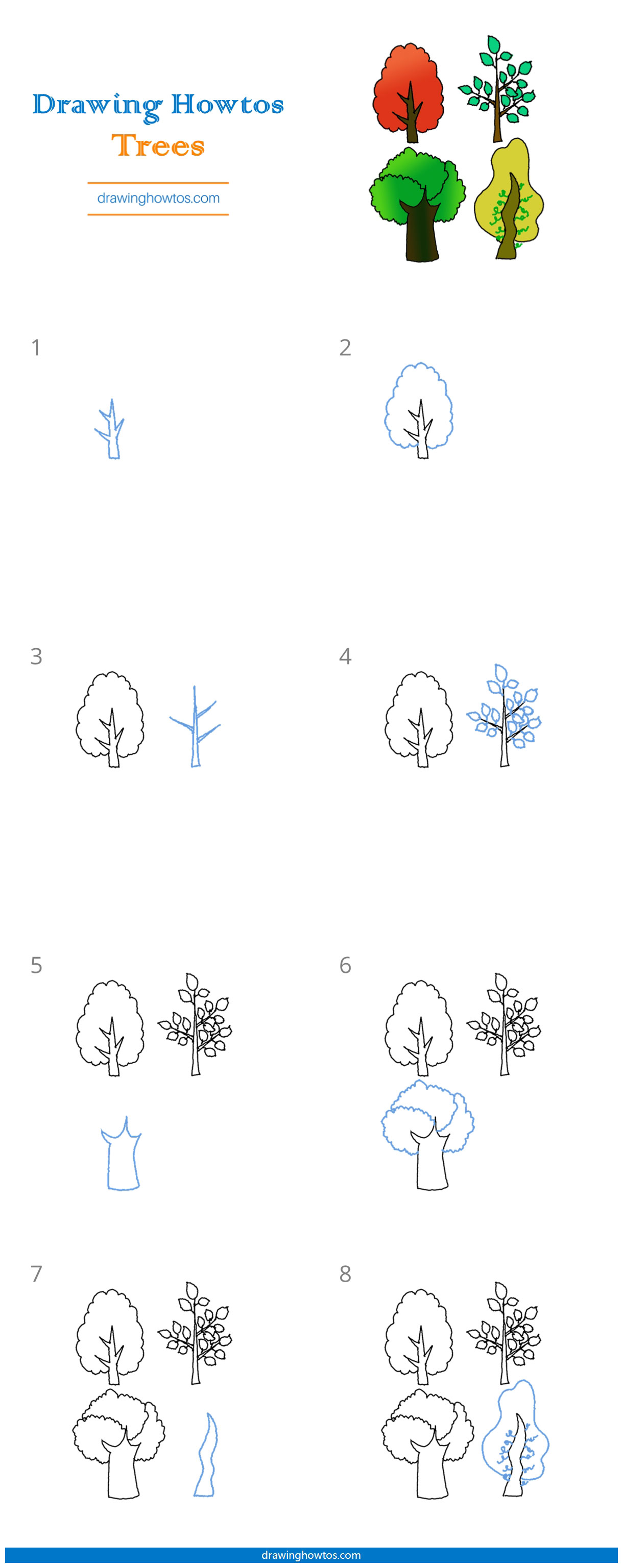 How to Draw Trees Step by Step