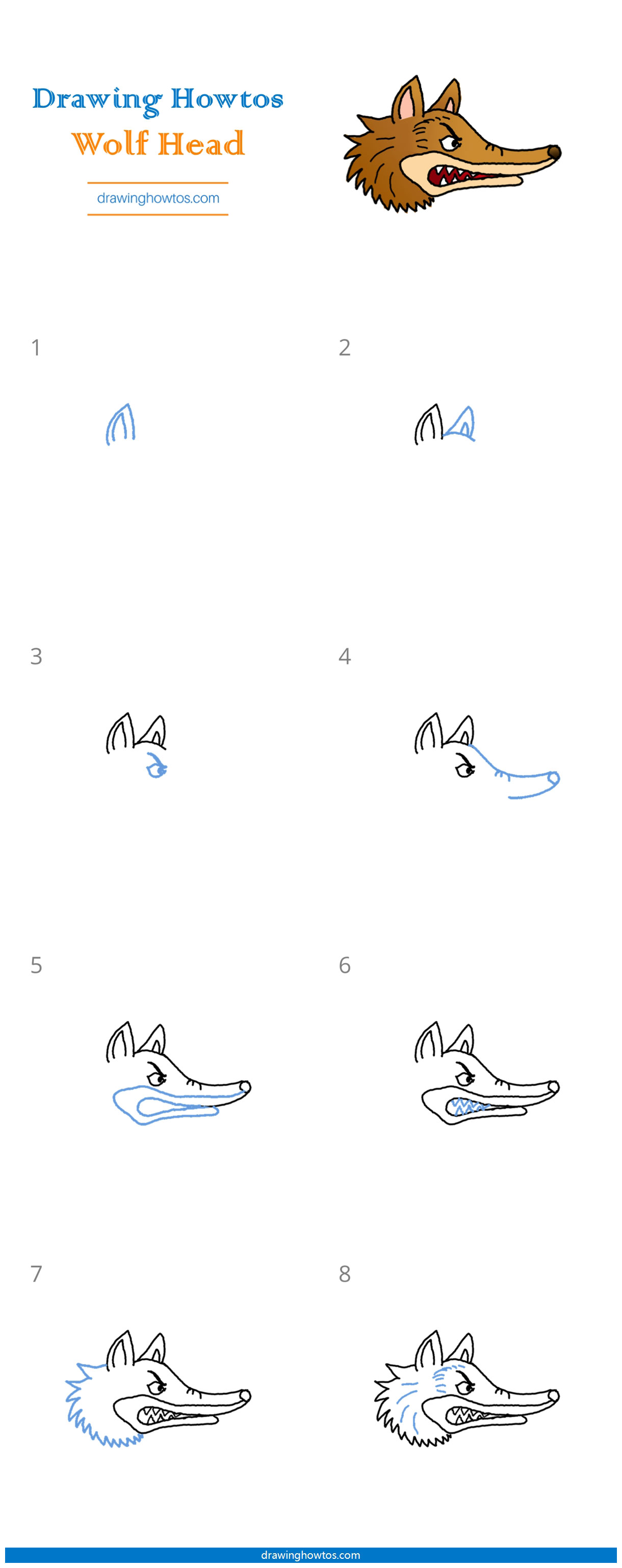 How to Draw a Wolf Head Step by Step