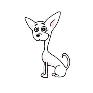 How to Draw a Chihuahua Easy
