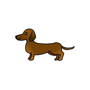How to Draw a Dachshund Easy