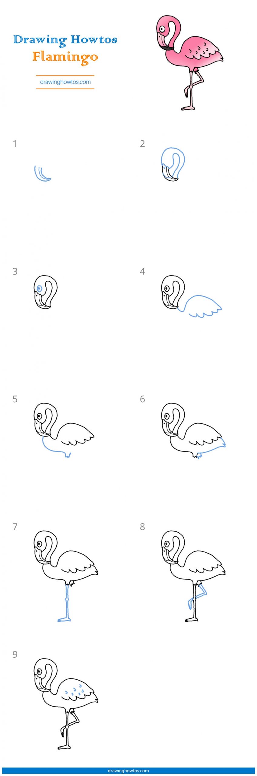 How to Draw a Flamingo Step by Step Easy Drawing Guides Drawing Howtos
