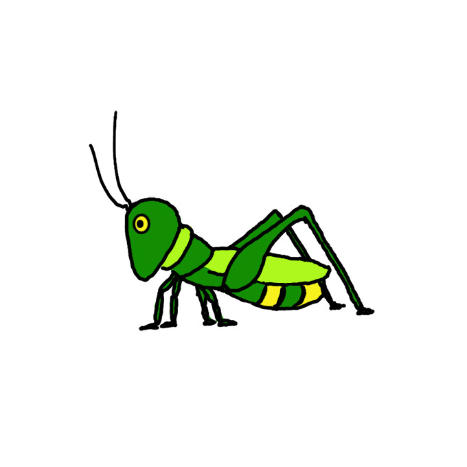 How to Draw a Grasshopper Easy