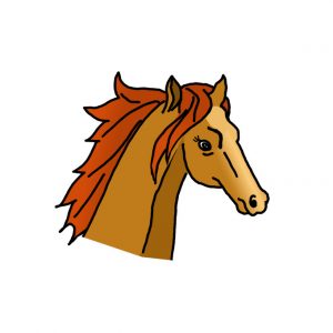 How to Draw a Horse Head Easy