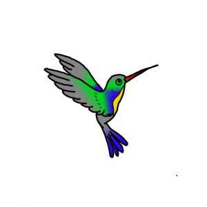How to Draw a Hummingbird Easy