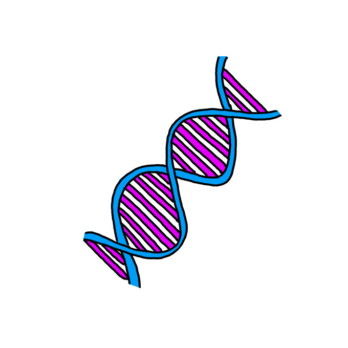 How to Draw DNA Easy