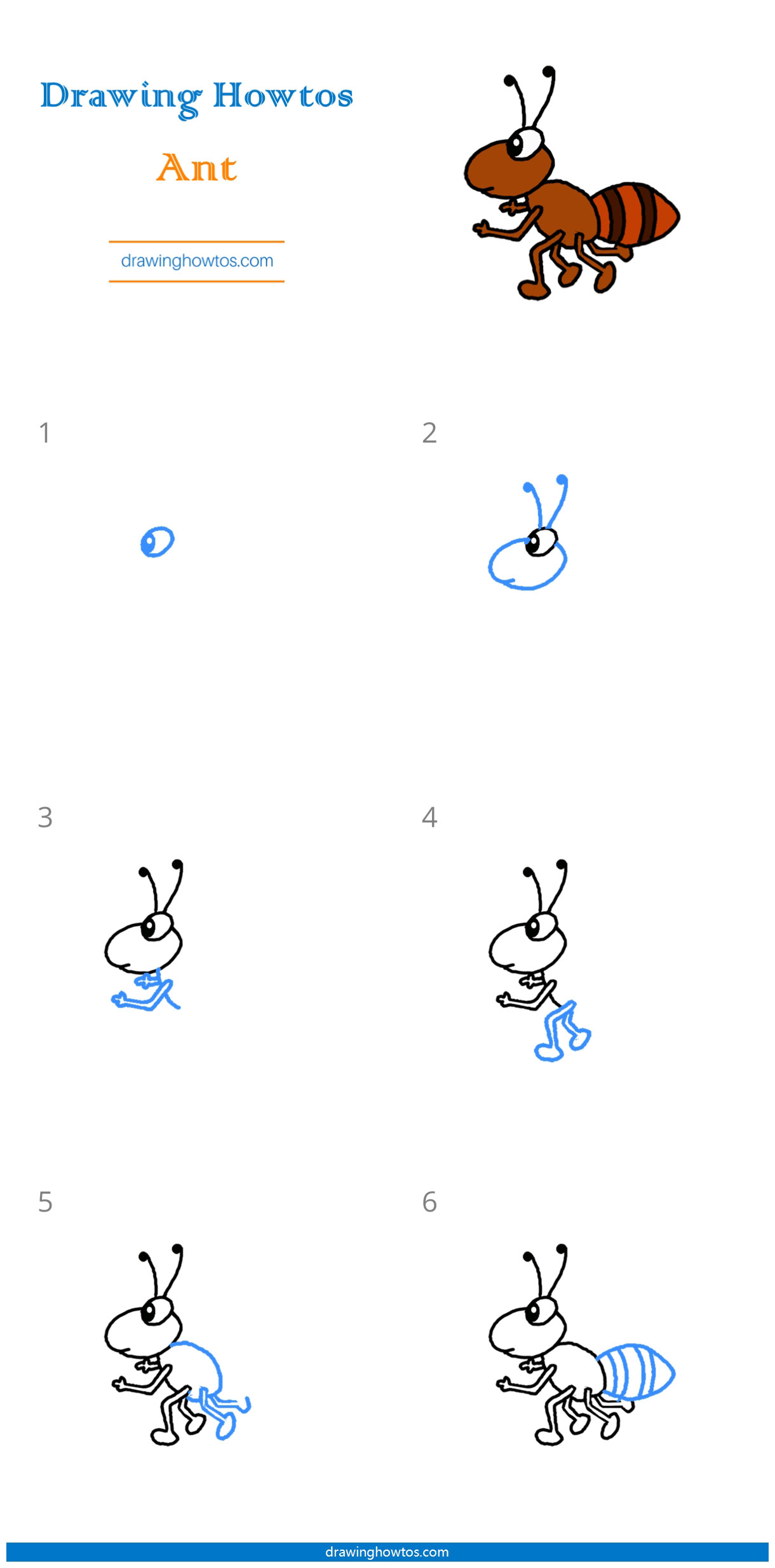 How to Draw an Ant Step by Step