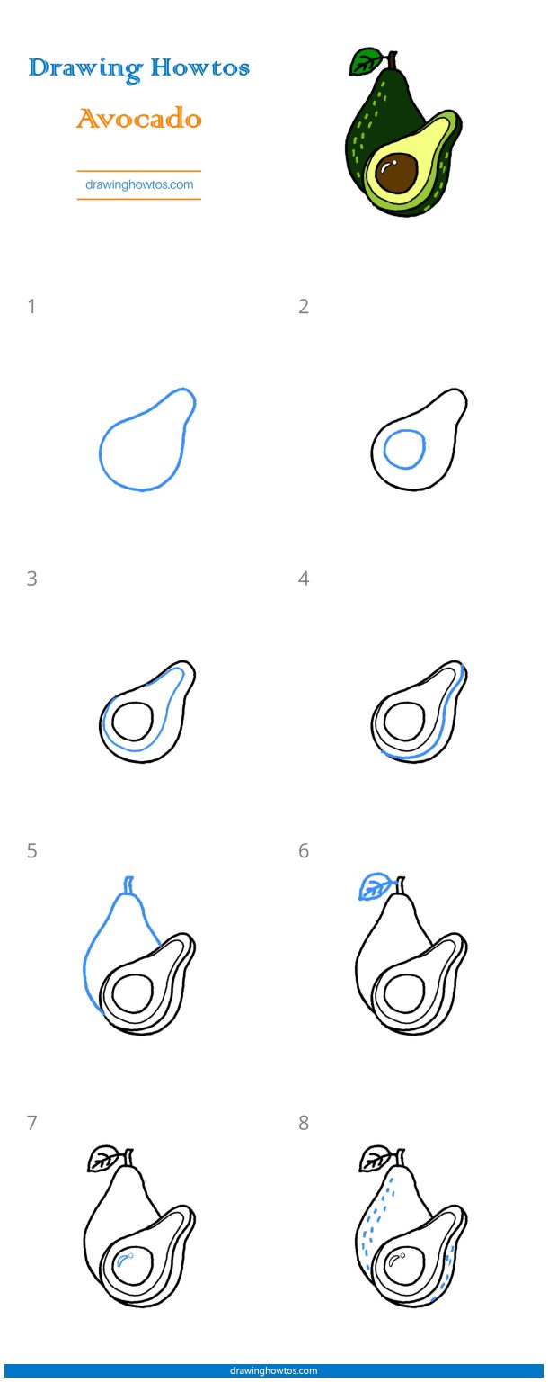 How to Draw an Avocado Step by Step Easy Drawing Guides Drawing Howtos
