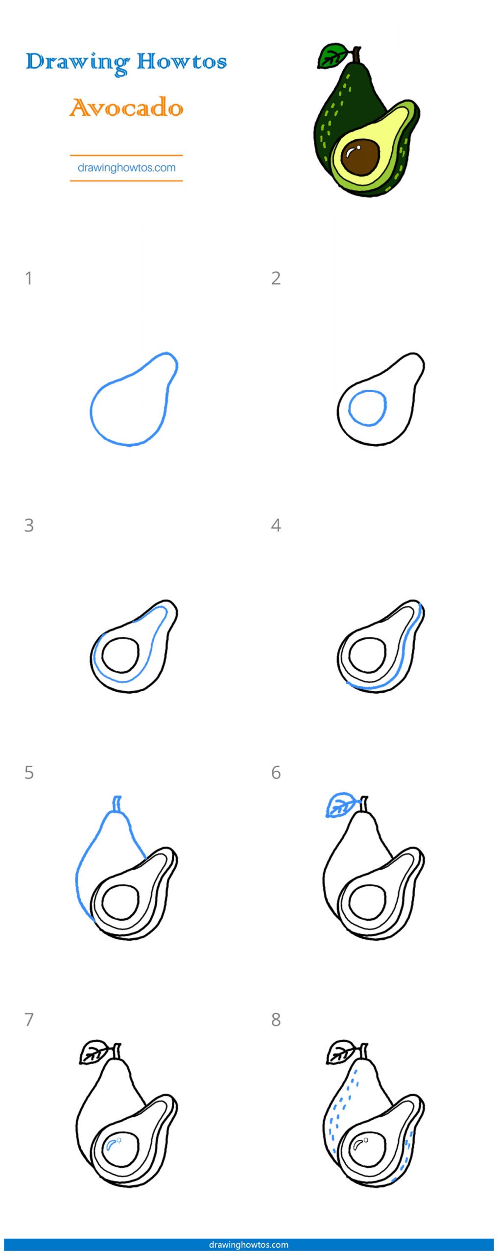 How to Draw an Avocado Step by Step