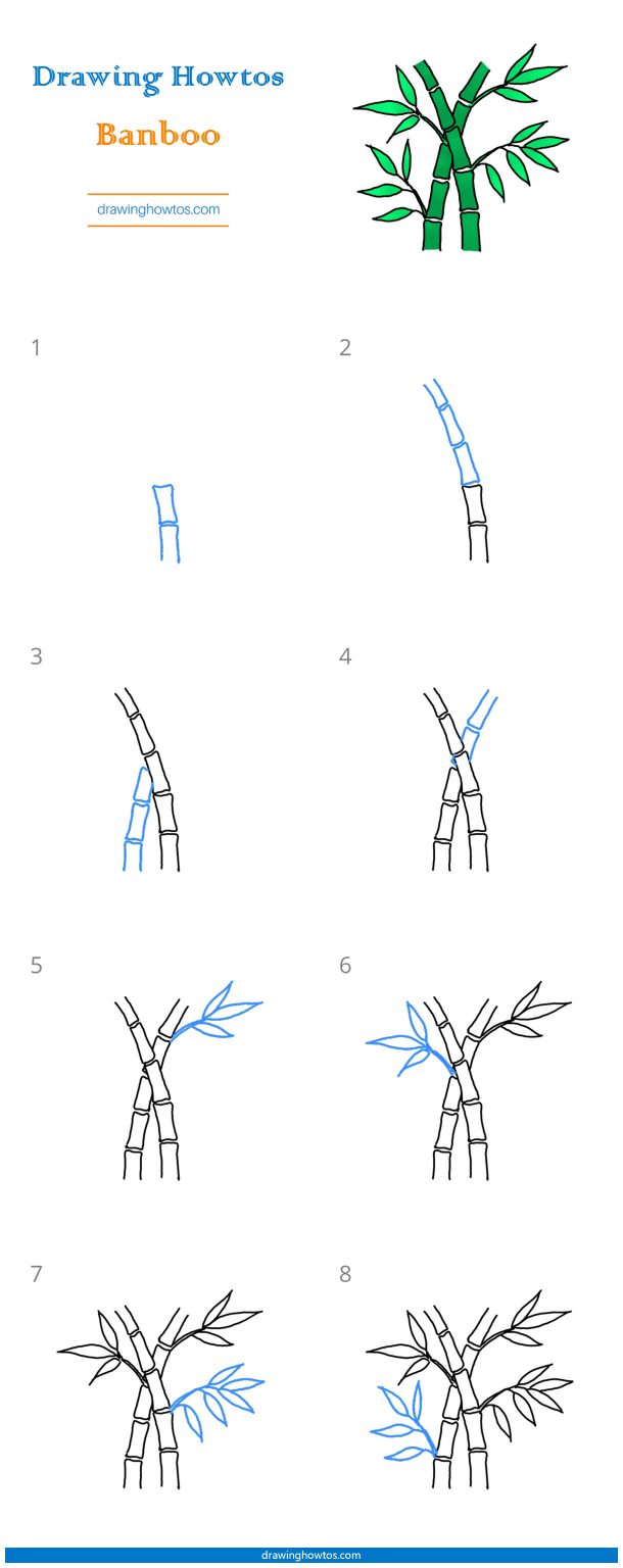 How to Draw Bamboo - Step by Step Easy Drawing Guides - Drawing Howtos