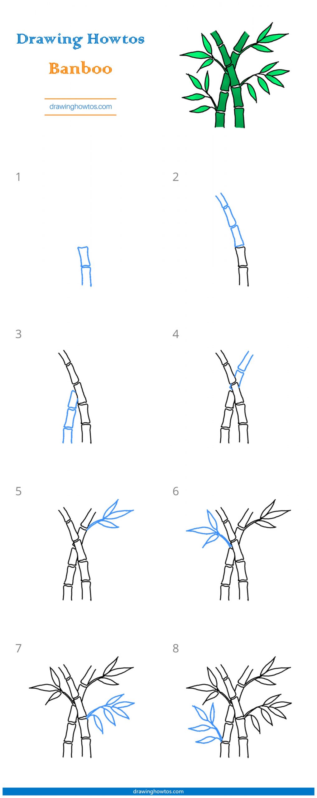 How to Draw Bamboo Step by Step