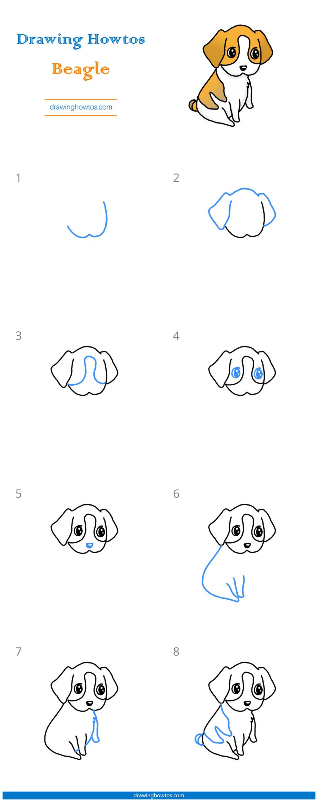 How to Draw a Beagle Step by Step