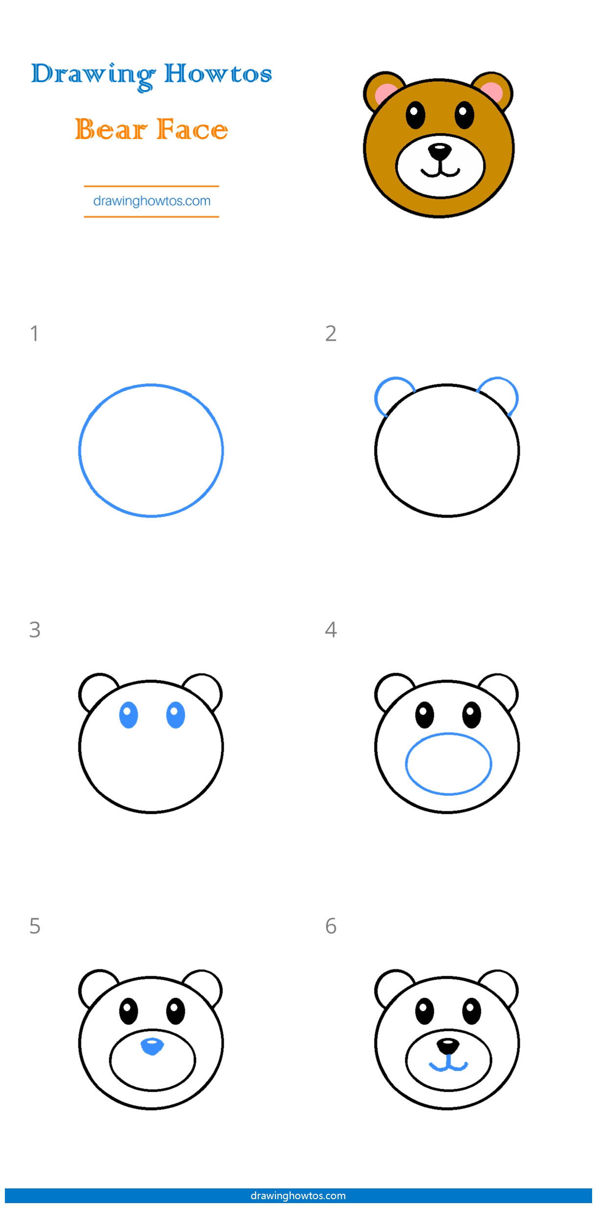 How to Draw a Bear Face Step by Step