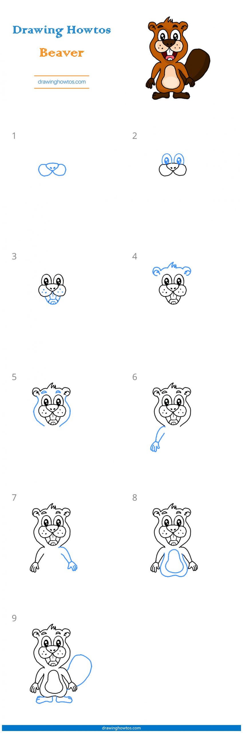 How to Draw a Beaver Step by Step