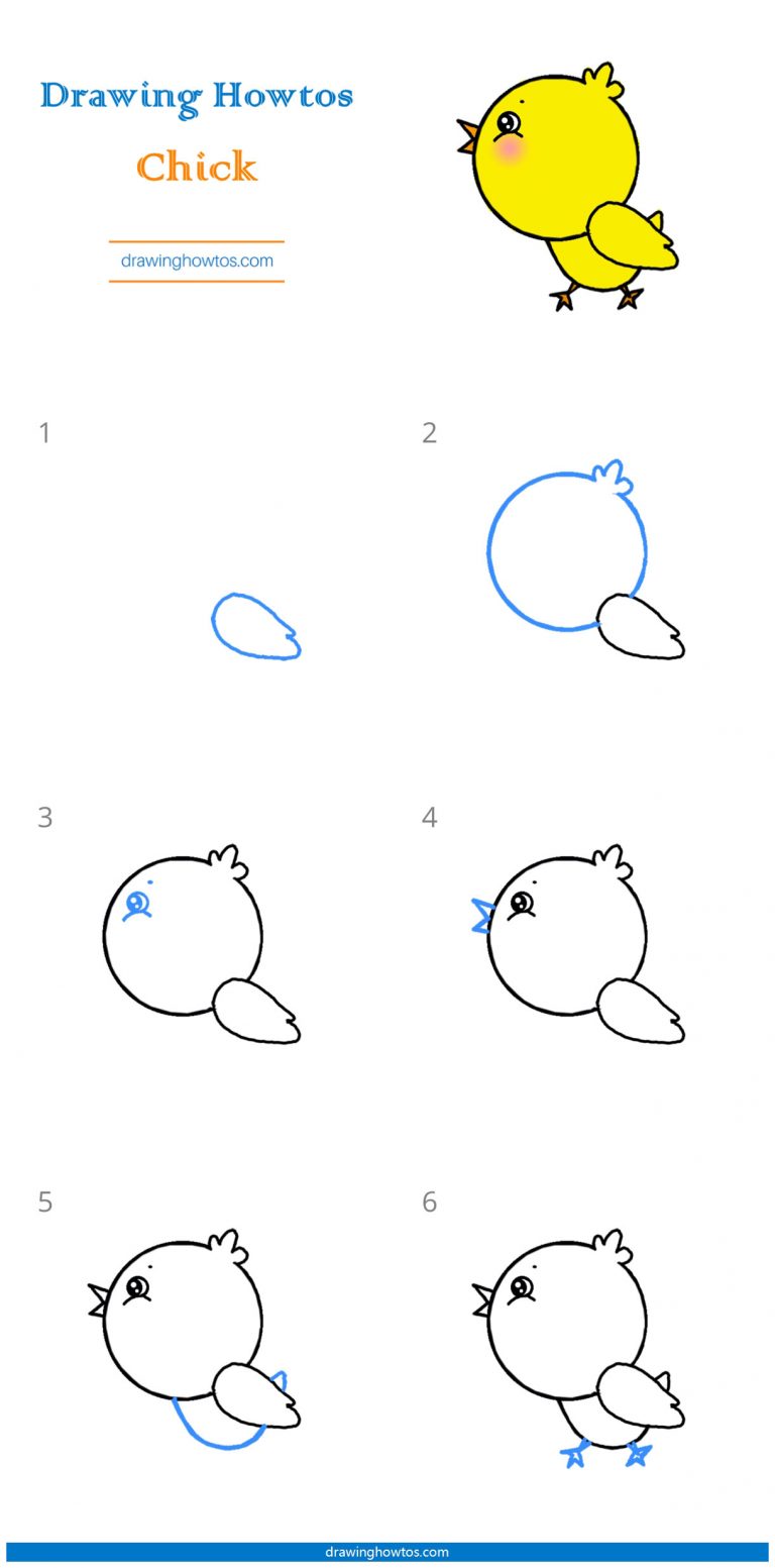 How to Draw a Chick - Step by Step Easy Drawing Guides - Drawing Howtos