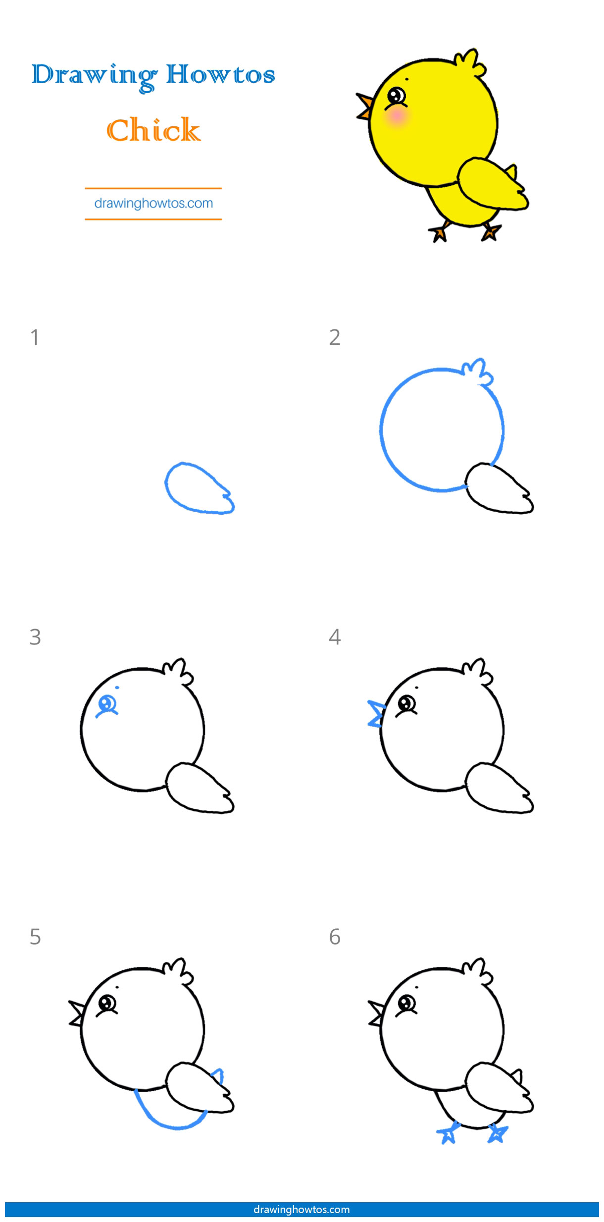 How to Draw a Chick Step by Step