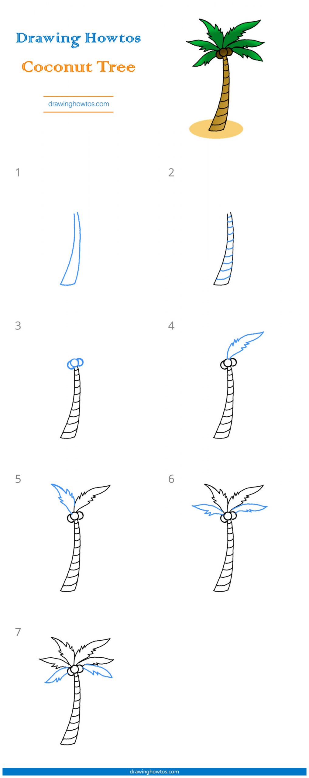 How to Draw a Coconut Tree Step by Step