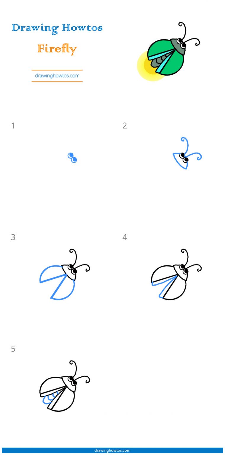 How to Draw a Firefly Step by Step Easy Drawing Guides Drawing Howtos