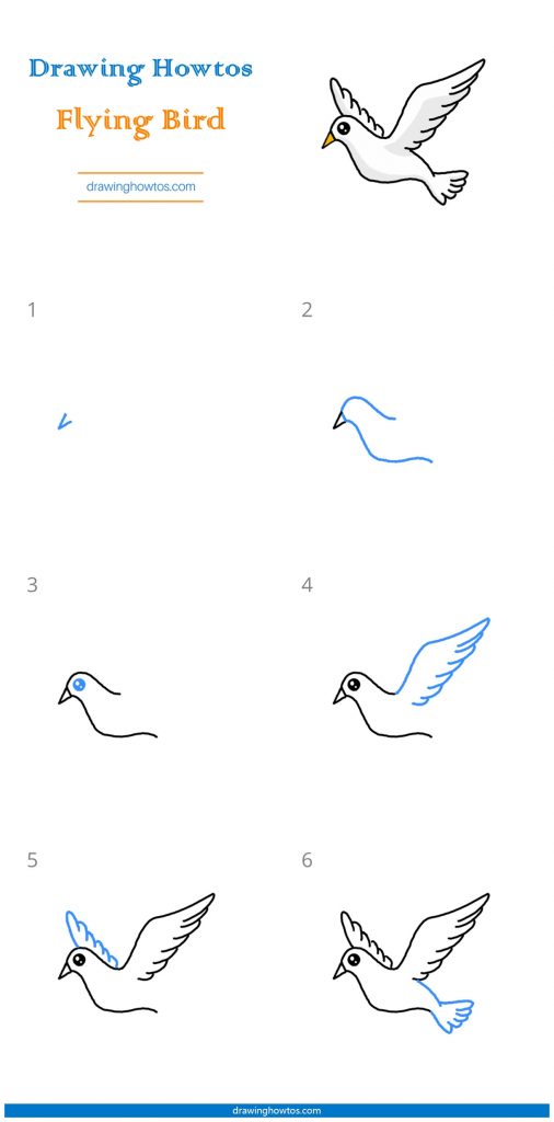 How to Draw a Flying Bird - Step by Step Easy Drawing Guides - Drawing