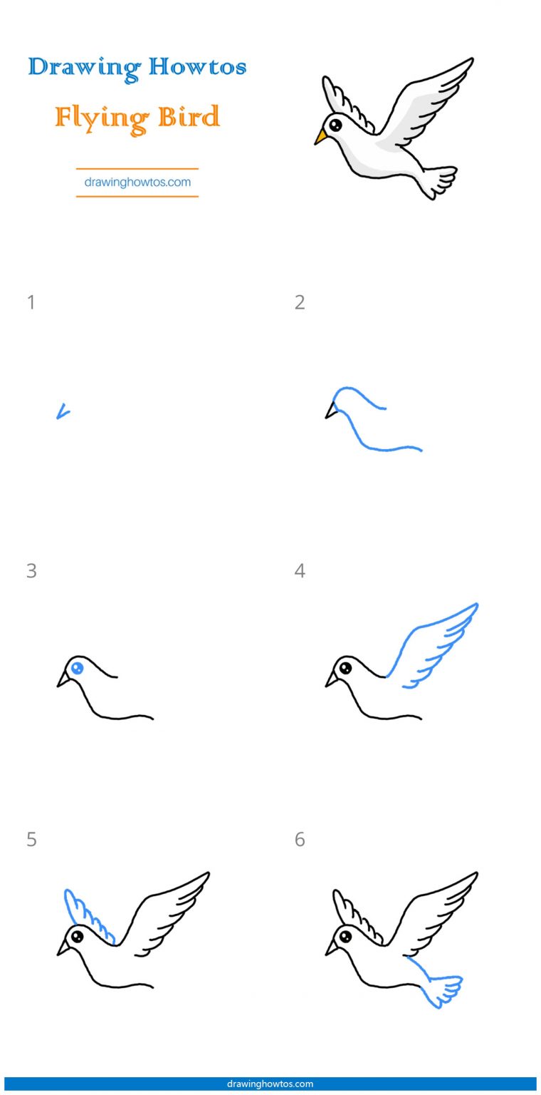 How to Draw a Flying Bird Step by Step Easy Drawing Guides Drawing