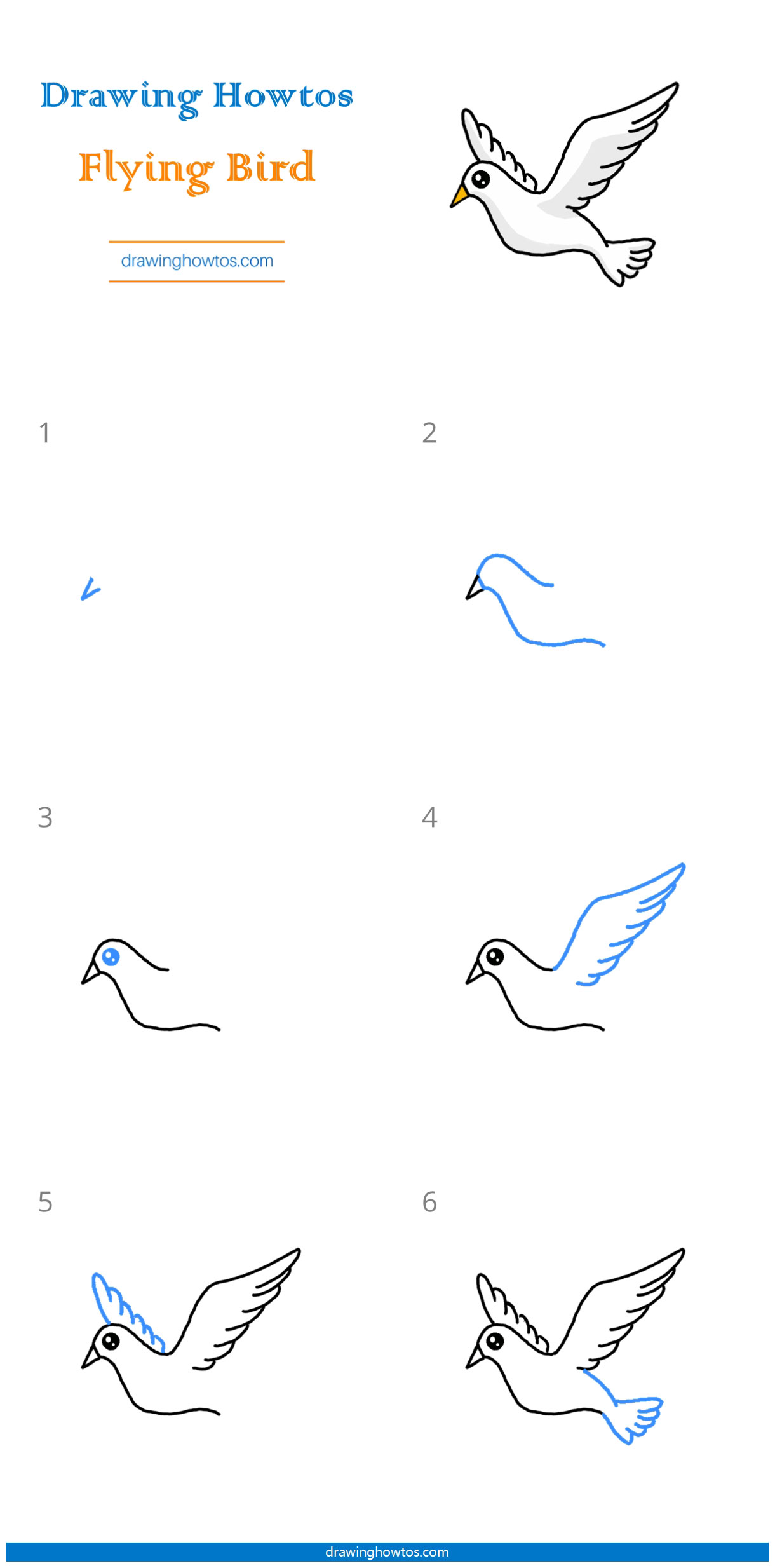 flying bird how to draw steps all