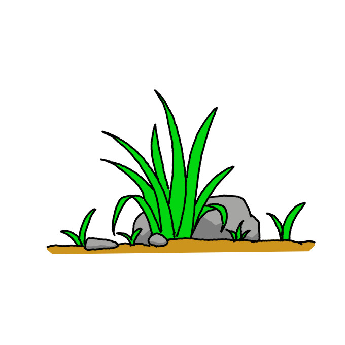How to Draw Grass Easy