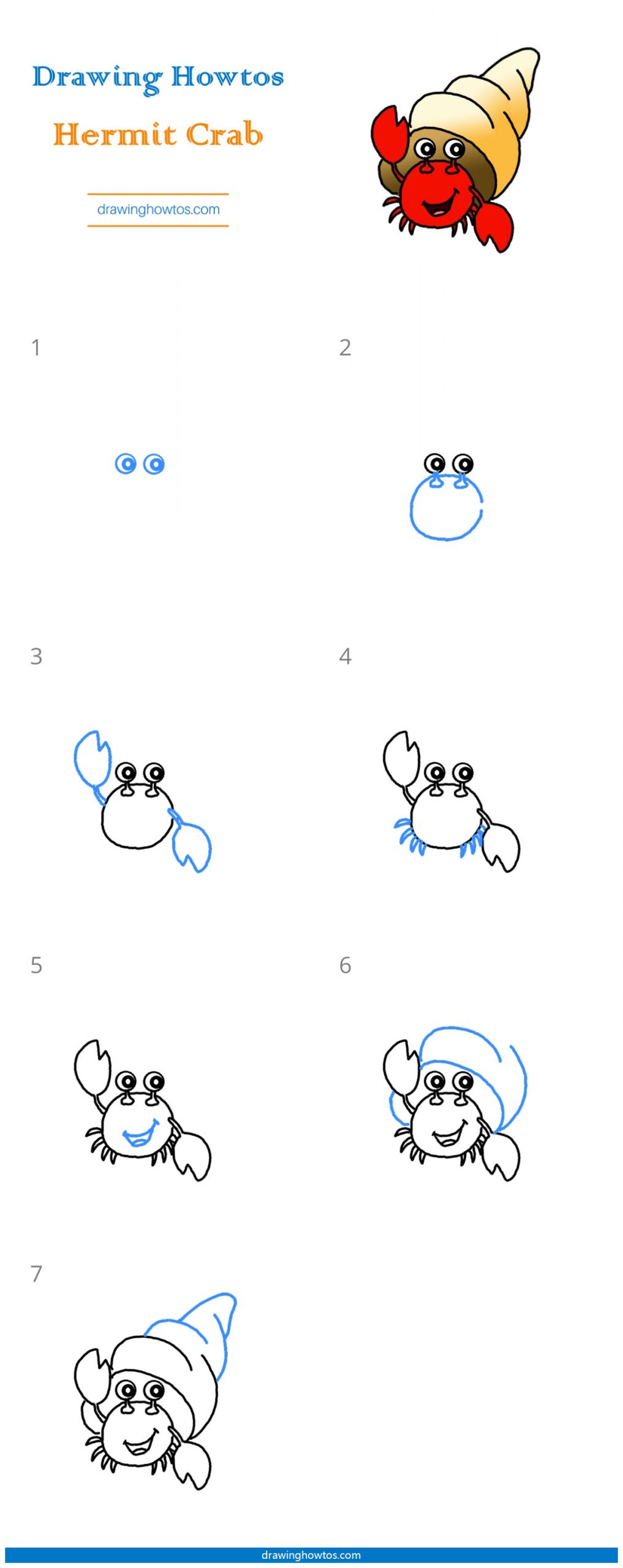 How to Draw a Hermit Crab Step by Step