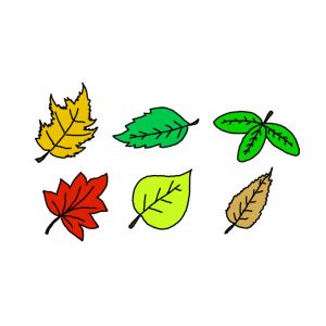 How to Draw Leaves Easy