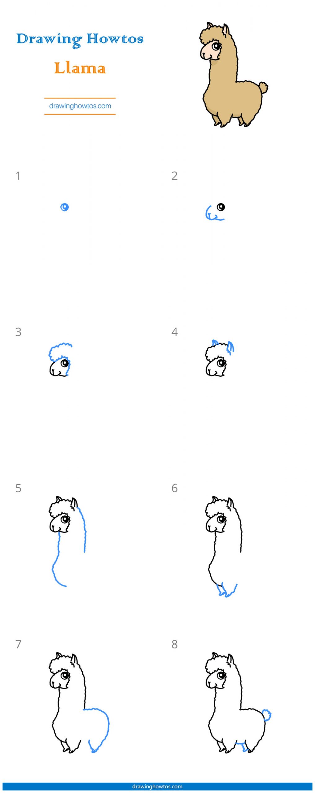 How to Draw a Llama Step by Step