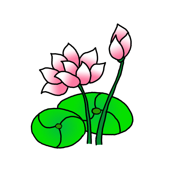 How to Draw a Lotus Easy