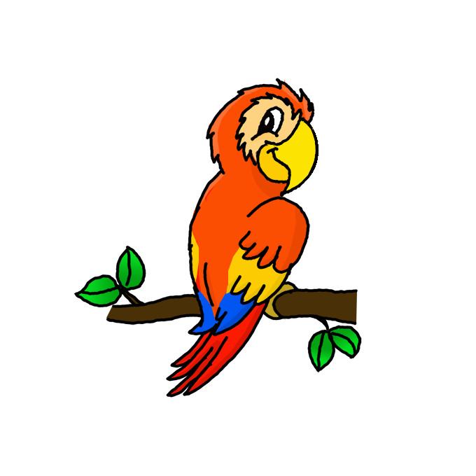 How to Draw a Macaw Easy