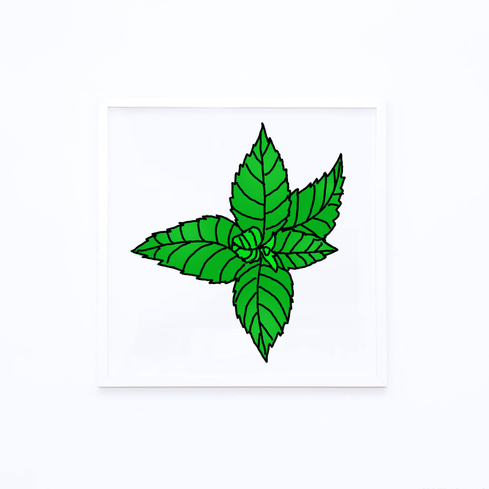 How To Draw A Mint Leaf Step By Step