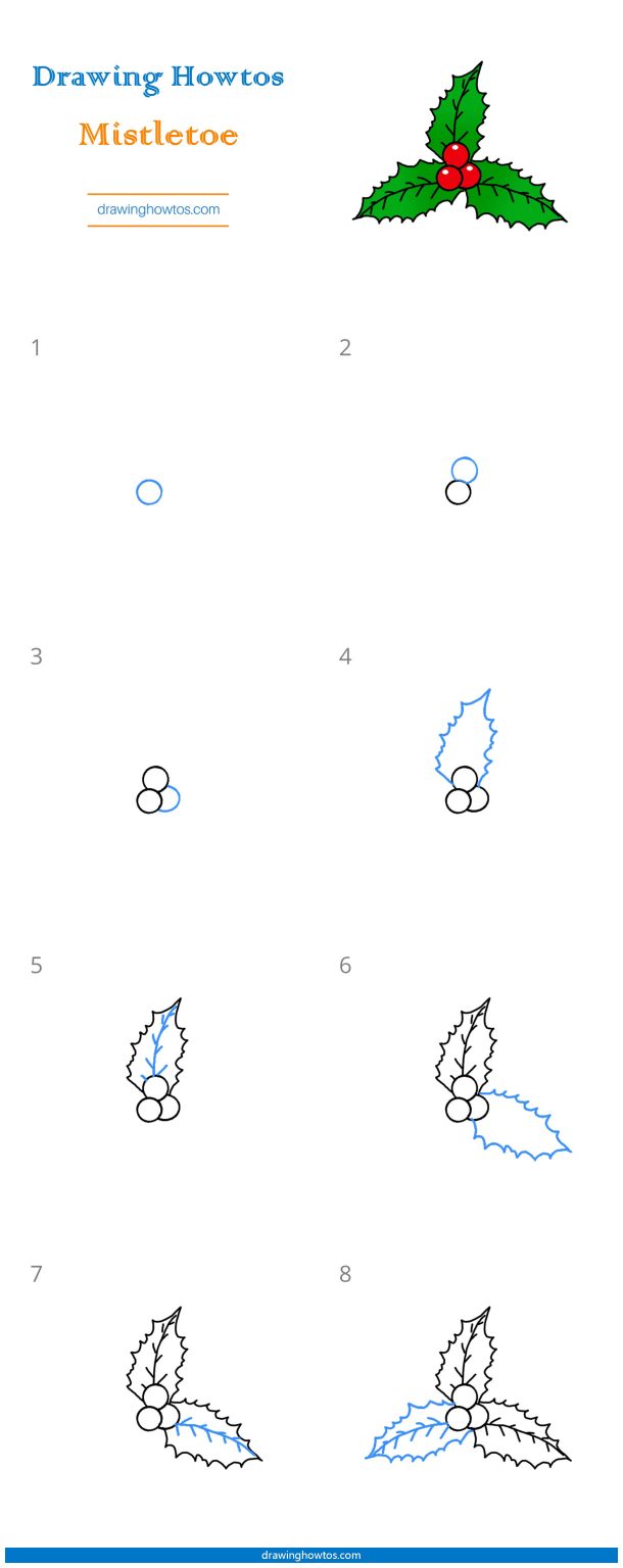 How to Draw Mistletoe - Step by Step Easy Drawing Guides - Drawing Howtos