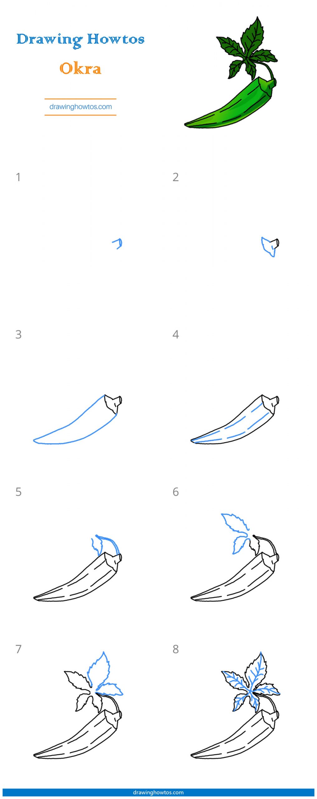 How to Draw Okra Step by Step