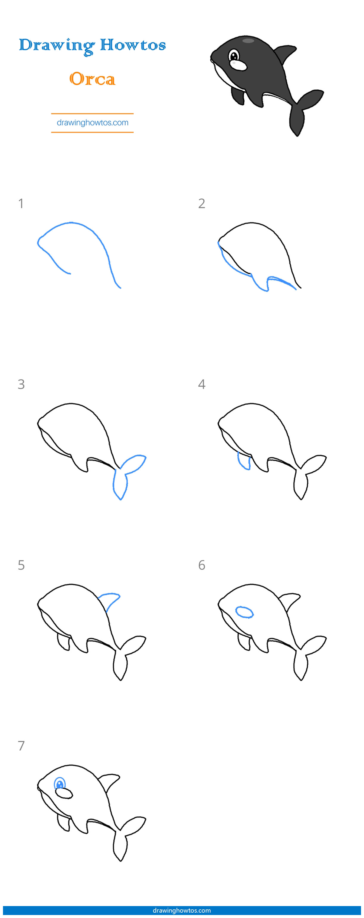 How to Draw an Orca - Step by Step Easy Drawing Guides - Drawing Howtos
