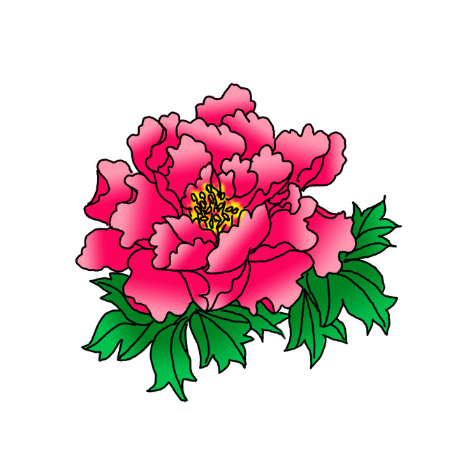 How to Draw a Peony Easy