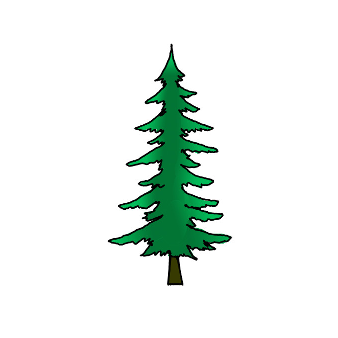 How to Draw a Pine Tree Easy