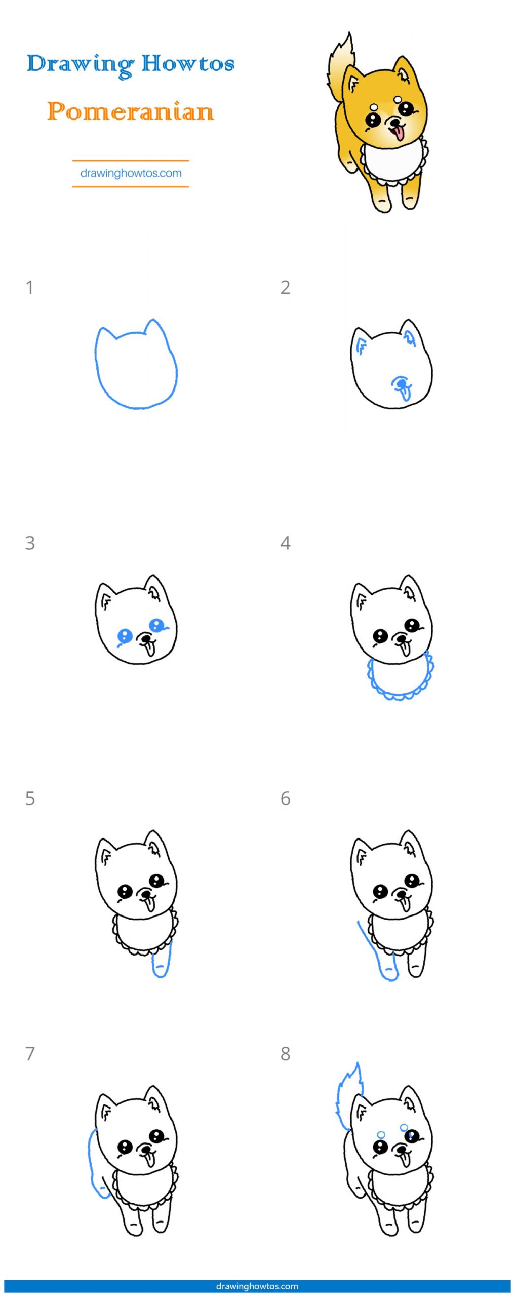 How to Draw a Pomeranian Step by Step