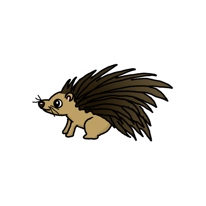 How to Draw a Porcupine Easy