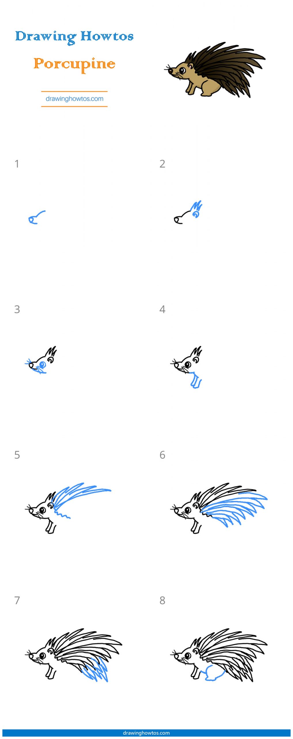 How to Draw a Porcupine Step by Step