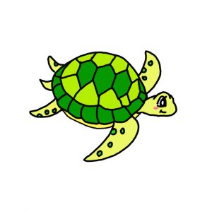 How to Draw a Sea Turtle Easy