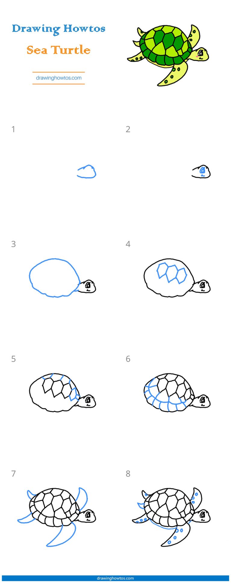 How to Draw a Sea Turtle Step by Step Easy Drawing