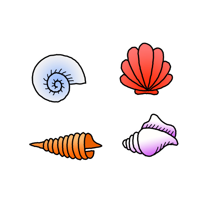 How to Draw a Seashell - Step by Step Easy Drawing Guides - Drawing Howtos