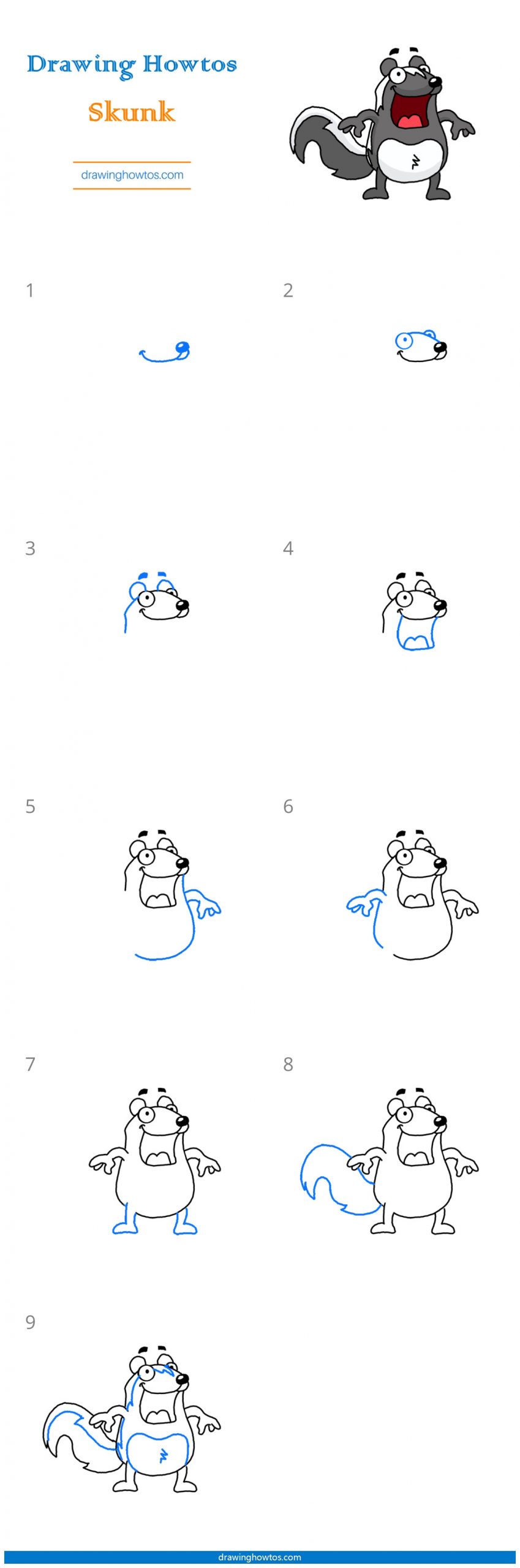 How to Draw a Skunk Step by Step