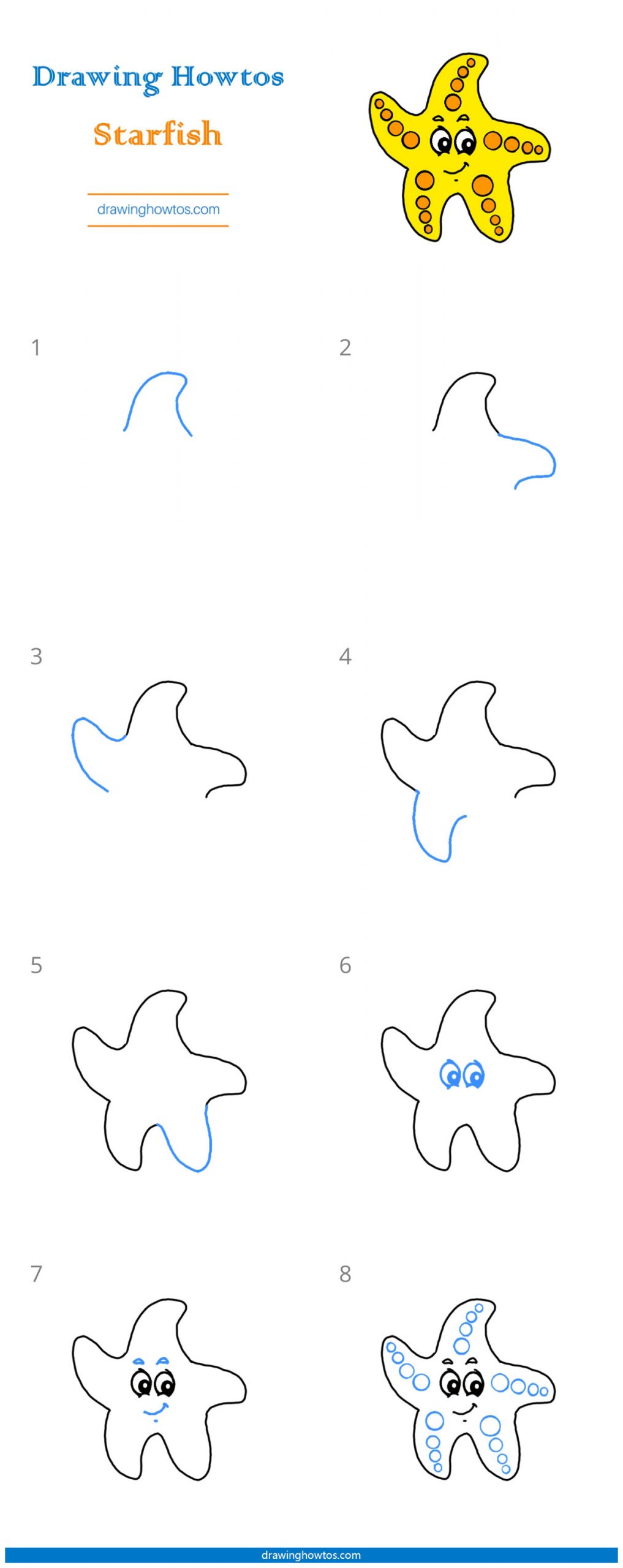 How to Draw a Cute Starfish Step by Step