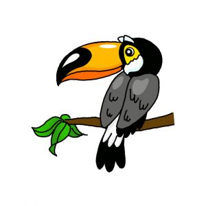 How to Draw a Toucan Easy