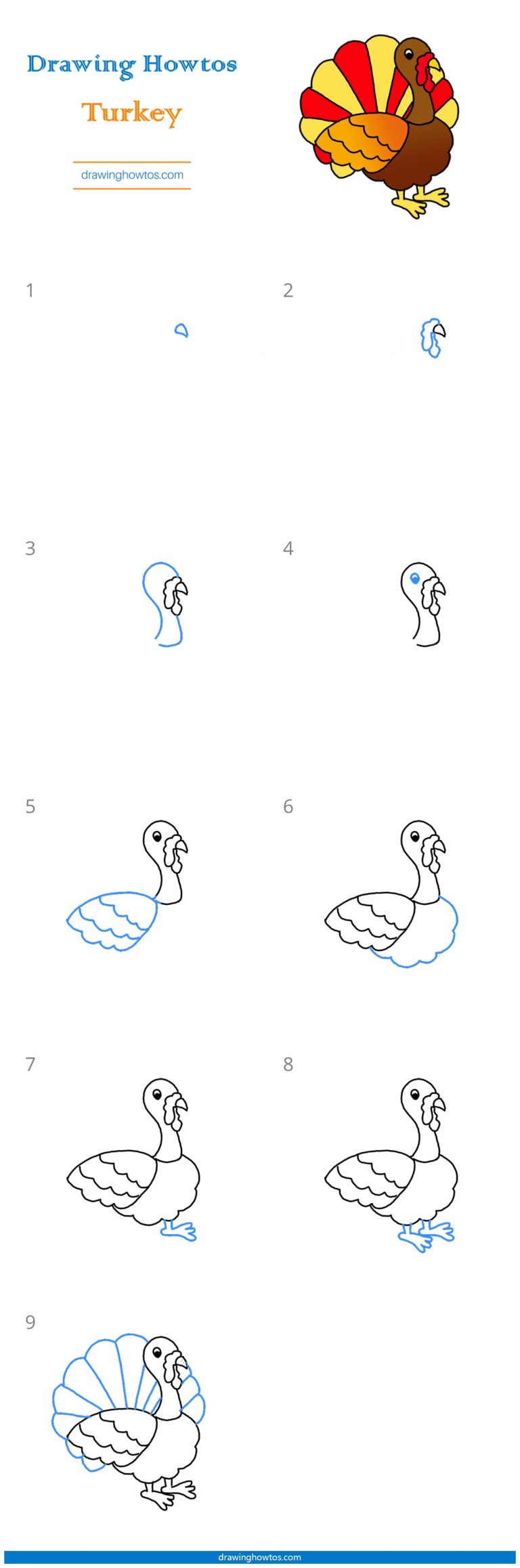 How to Draw a Turkey - Step by Step Easy Drawing Guides - Drawing Howtos