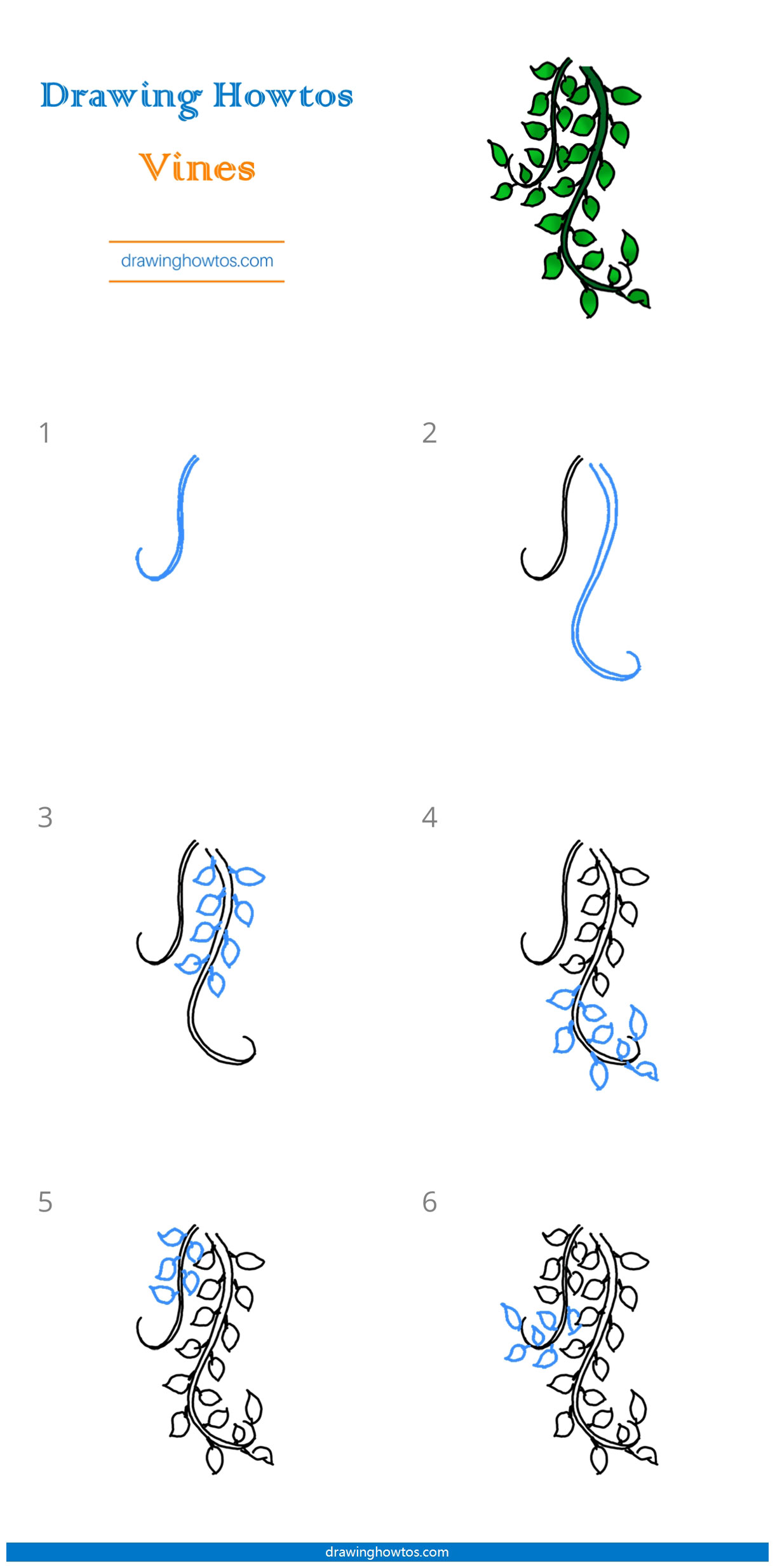 How to Draw Vines Step by Step