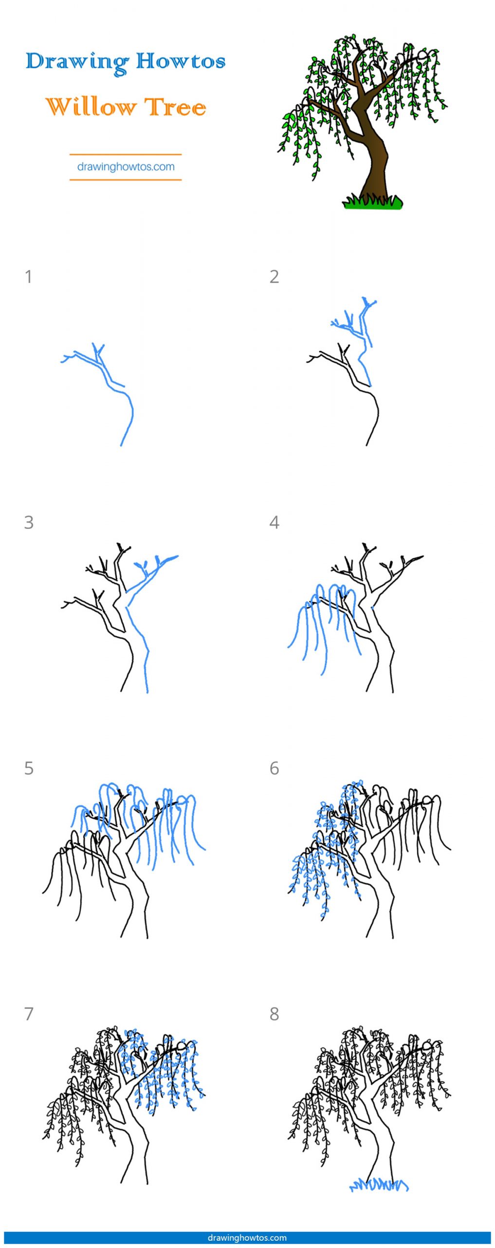 How to Draw a Willow Tree Step by Step